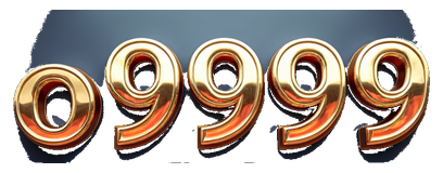 o9999 logo